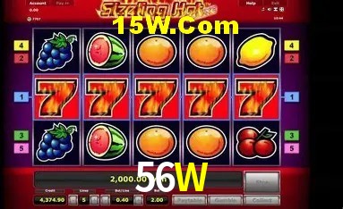 Sistemas de Segurança 56W